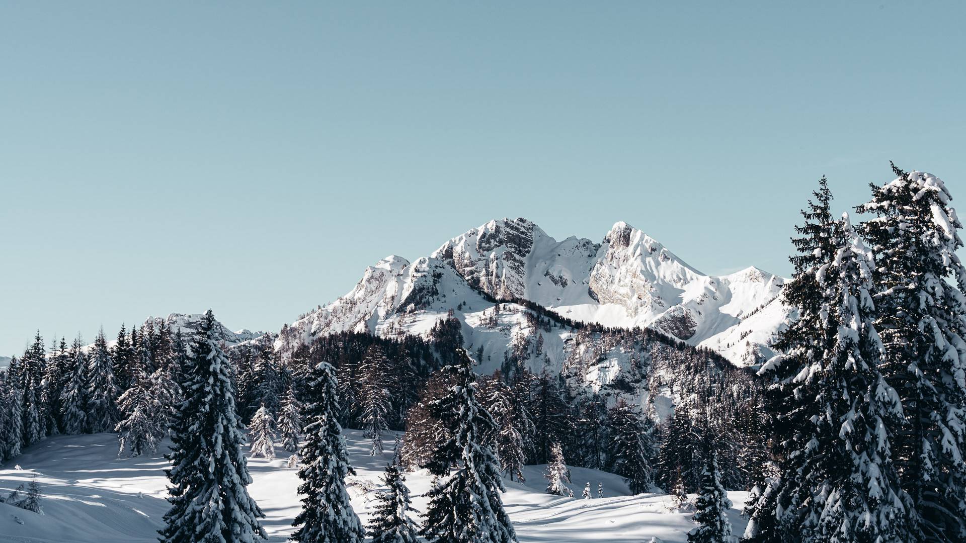 Winter Pongauer Bergwelt